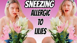 4K Lily Bouquet Sneeze Attack – I Couldn’t Stop!