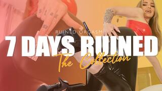 7 Days of Ruin – The Collection! Part 1 ENGLISH SUBTITLE