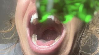 turn you into a gummy bear and make you watch me eat your friends