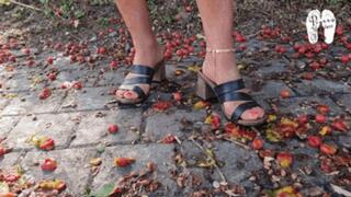 Cherries under hard wooden Mules