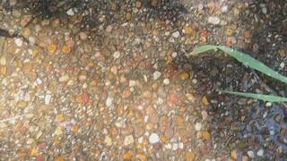 Watch Me Make a Puddle