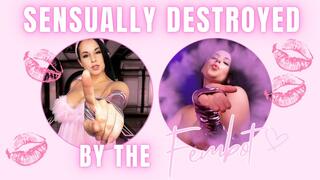 Sensually Destroyed By The Fembot (CUSTOM ORDER)