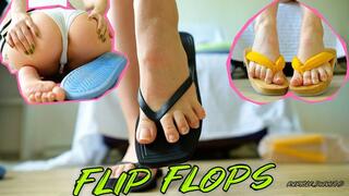 Flip Flops modeling