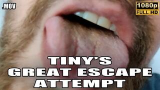 KingMarti : Tinys Great Escape Attempt - Giant Vore - Full HD 1080p - MOV