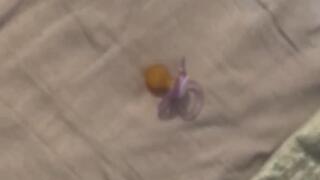 Posh Bitch Brat Girl Finds Your Pacifier Dummy !