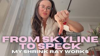 From Skyline to Speck My Shrink Ray Works