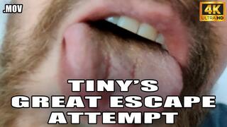 KingMarti : Tinys Great Escape Attempt - Giant Vore - 4k UHD 2160p - MOV