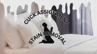 CUCK ASSIGNMENT: Stain Removal