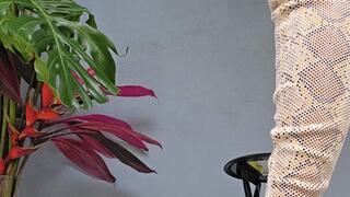 Sublime Crossed Legs on sexy OTK Python Boots by Milah