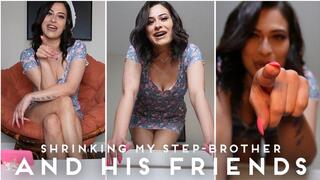 Shrinking My Step-Brother And His Friends