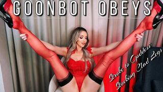 Goon Bot Obeys and Strokes to Goddess' Stocking Clad Legs JOI Gooning Jerk Off Instruction Mistress Emily Marilyn