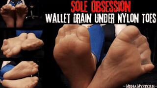 Sole Obsession: Wallet Drain Under Nylon Toes - mp4