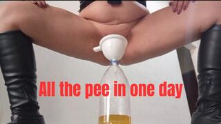 All the pee I collected in 1 day
