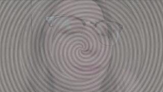 You Love the Cage (Face)