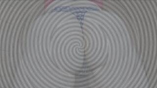 You Love the Cage (Ass)