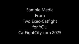 Sample for Customs wmv