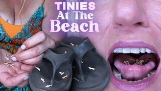 Tinies at the Beach (UHD WMV)