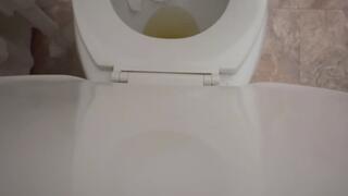 Whole days worth of peeing with farts and a quick soft dump