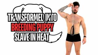 TRANSFORMED INTO BREEDING PUPPY SLAVE IN HEAT