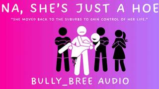 Na She's Just A Hoe Audio