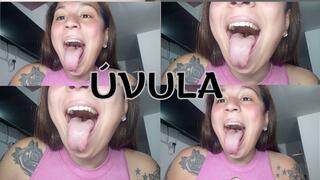 My uvula in close-up