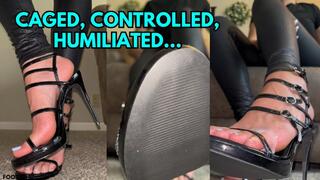 Caged, Controlled, Humiliated by Ivys Feet