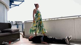 4K_40 degrees in the shade - part 2