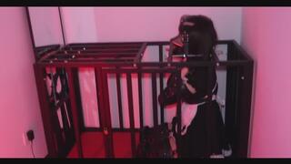 Transvestite Series:Flower Maid in the Iron Cage