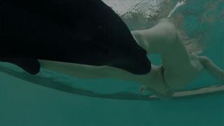 266 - A Scene After the Scene (720p)