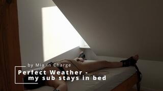 Perfect weather - my sub stays in bed