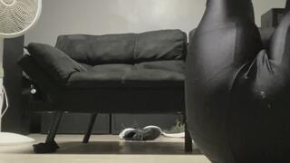 Football player in a frog tie and blindfolded