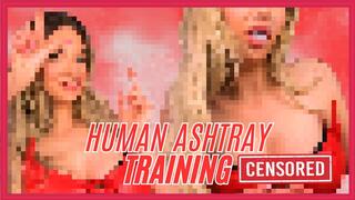 480MP4 Human Ashtray Training (Beta Safe Censored Loser Porn)