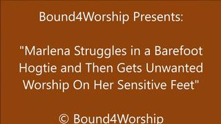 Marlena Hogtied for Foot Worship - HD