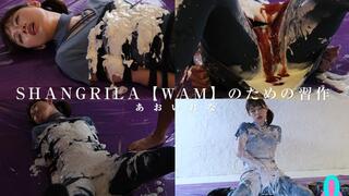 “SHANGRILA: A Study in WAM – Rena Aoi Edition”