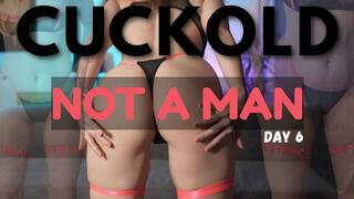 cuckold training day 6 - you are not a man any more