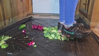 Nike shox veggie crush