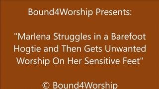 Marlena Hogtied for Foot Worship - SD