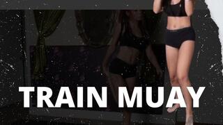 Train Muay Thai (4k)