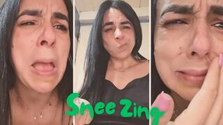 Sneezing + runny nose + allergies