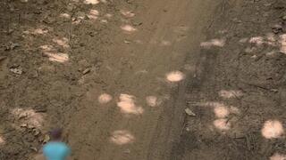 Giantess Comfort or Trap? A Friendly Farewell Inside Me” Smothering naked shower vore tiny man shrunken man