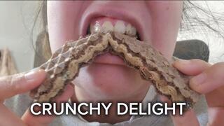 Close Up Chewing Sounds With My Mouth Open While You Watch My Teeth Crunching Every Bite