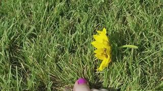 Toes playing in grass