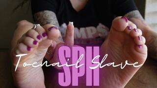 Toenail Slave SPH