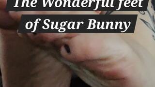 The Wonderful Feet of Sugar Bunny
