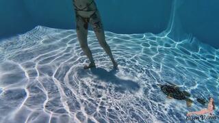 BBC Underwater Blowjob