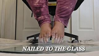 NAILED TO THE GLASS