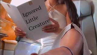 I Ignored the Tiny Creature During My Business Class Flight