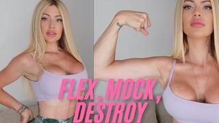 Flex, Mock, Destroy