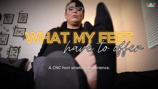 What My Feet Have To Offer HD