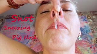 Pig Nose Sneezing Custom